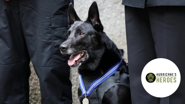 Hurricane's Heroes Logo