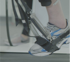 Charley Chalenge Illustration 3 Charley Chalenge Illustration 3